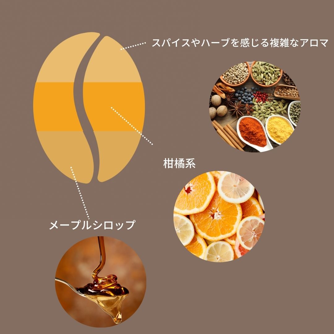 ケニア マサイAA