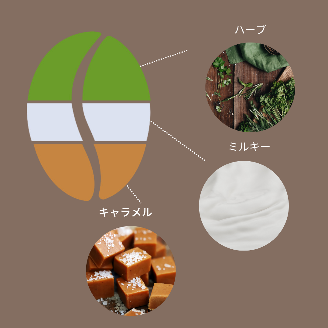 インドネシア マンデリン ビンタンリマ