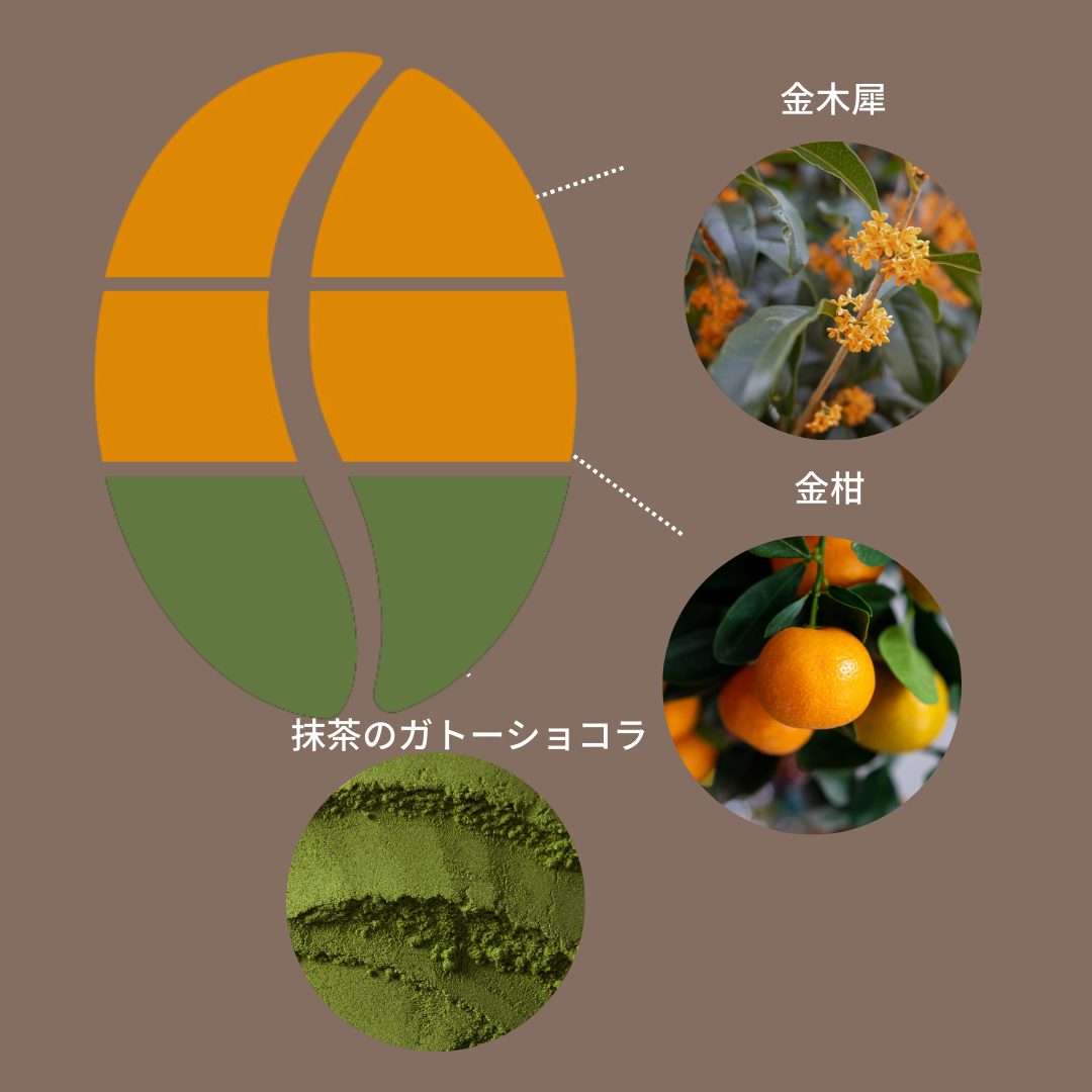 コロンビア ラス・フローレス タビ ファーメンテッドウォッシュ