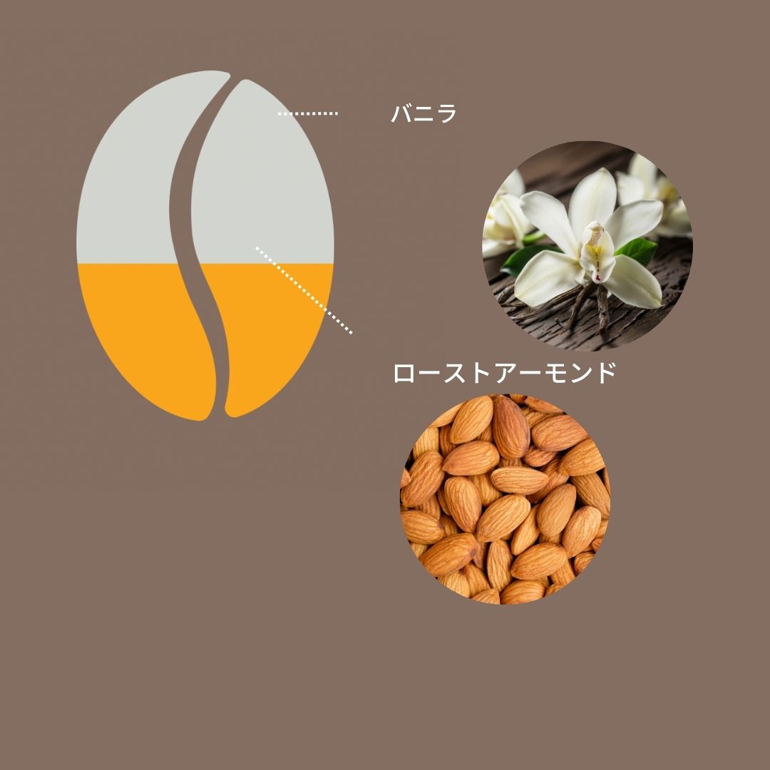 ジャマイカ ブルーマウンテンNo.1