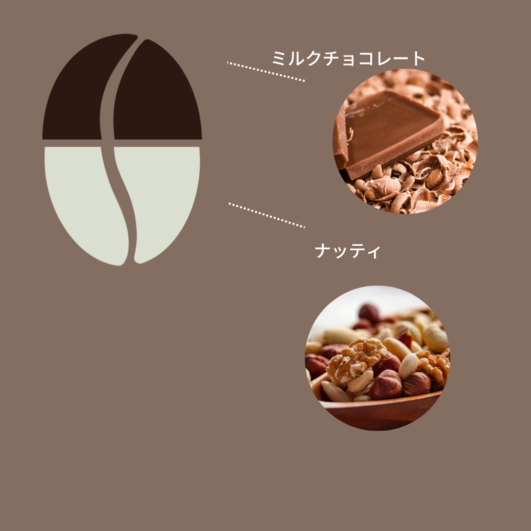 【デカフェ 】ブラジル ダテーラ農園