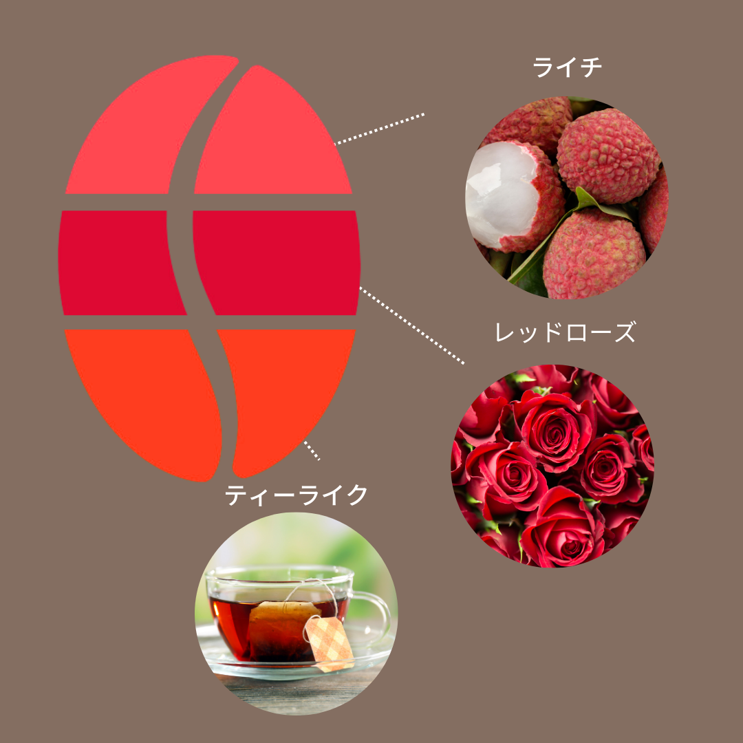 コロンビア ライチインフューズドハニー