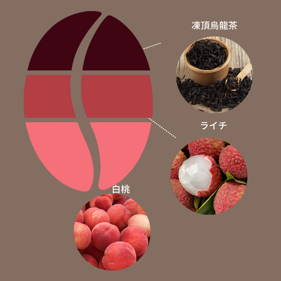 中国 徳広 イーストファーメンテーションハニー