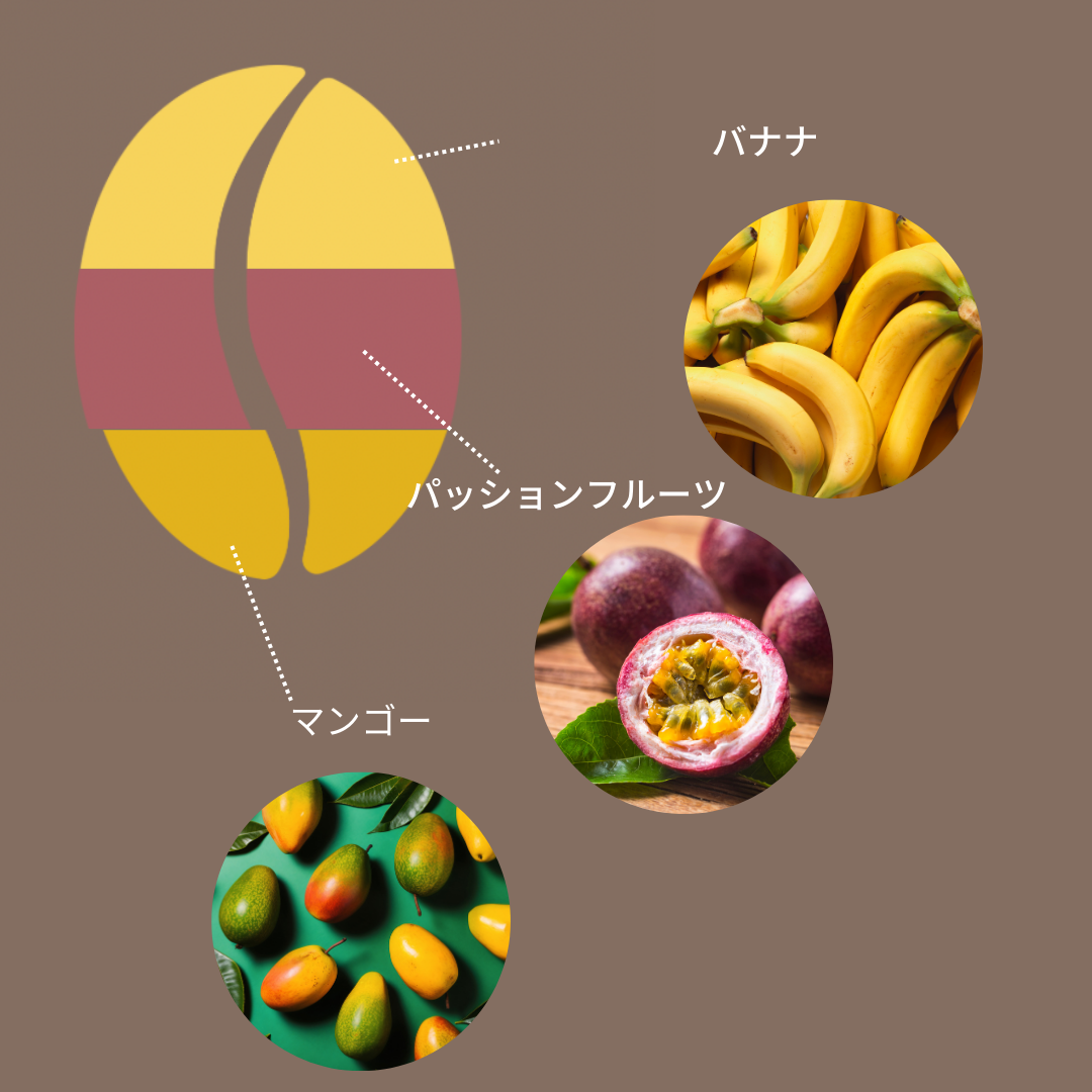 コロンビア トロピカルフルーツインフューズド