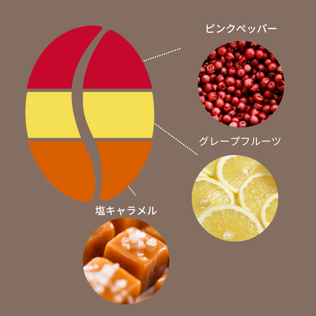 コロンビア サンチュアリオ カンポ・エルモソ ティピカ A・S・D
