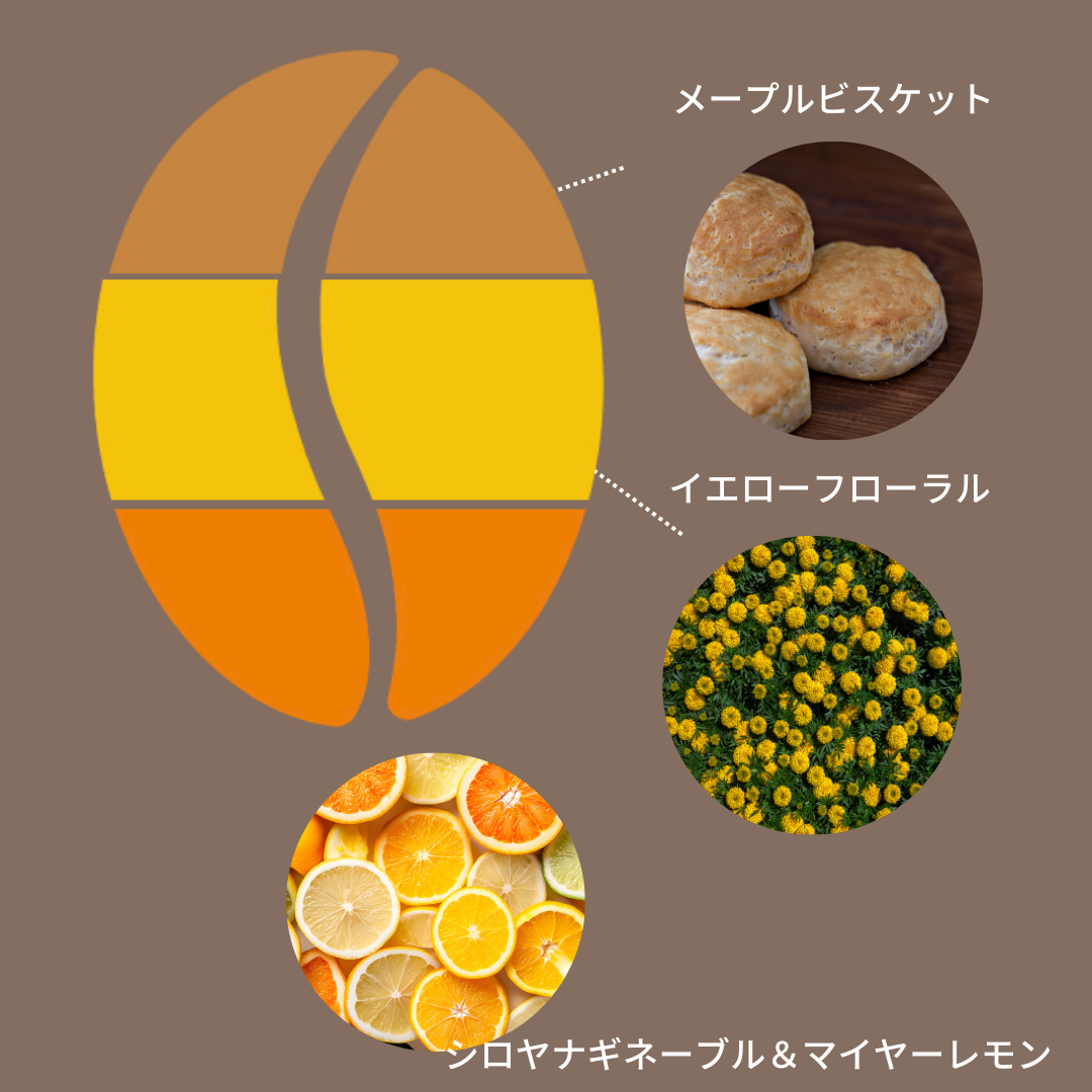 ルワンダ ルガリ ハニー