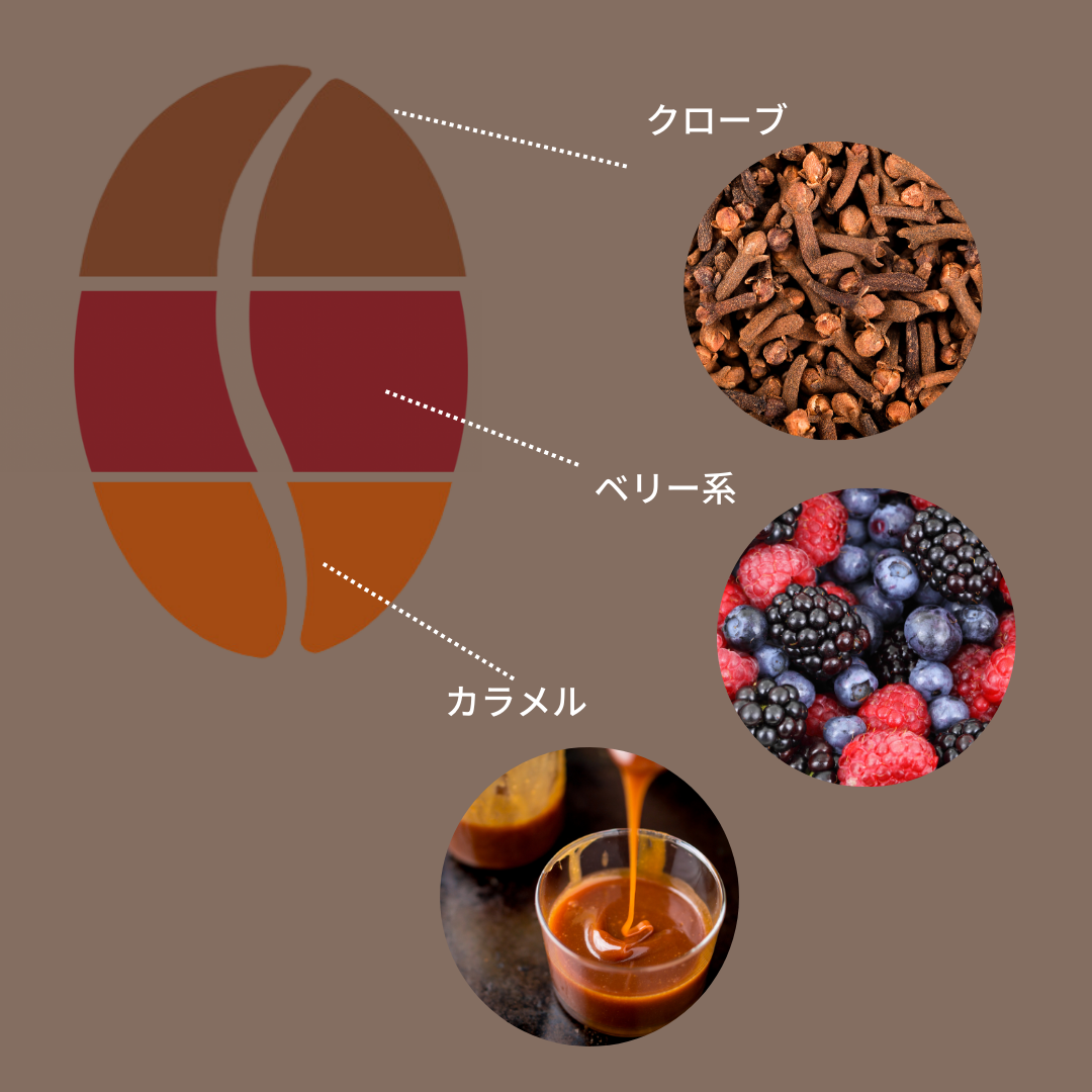 豆善モカブレンド
