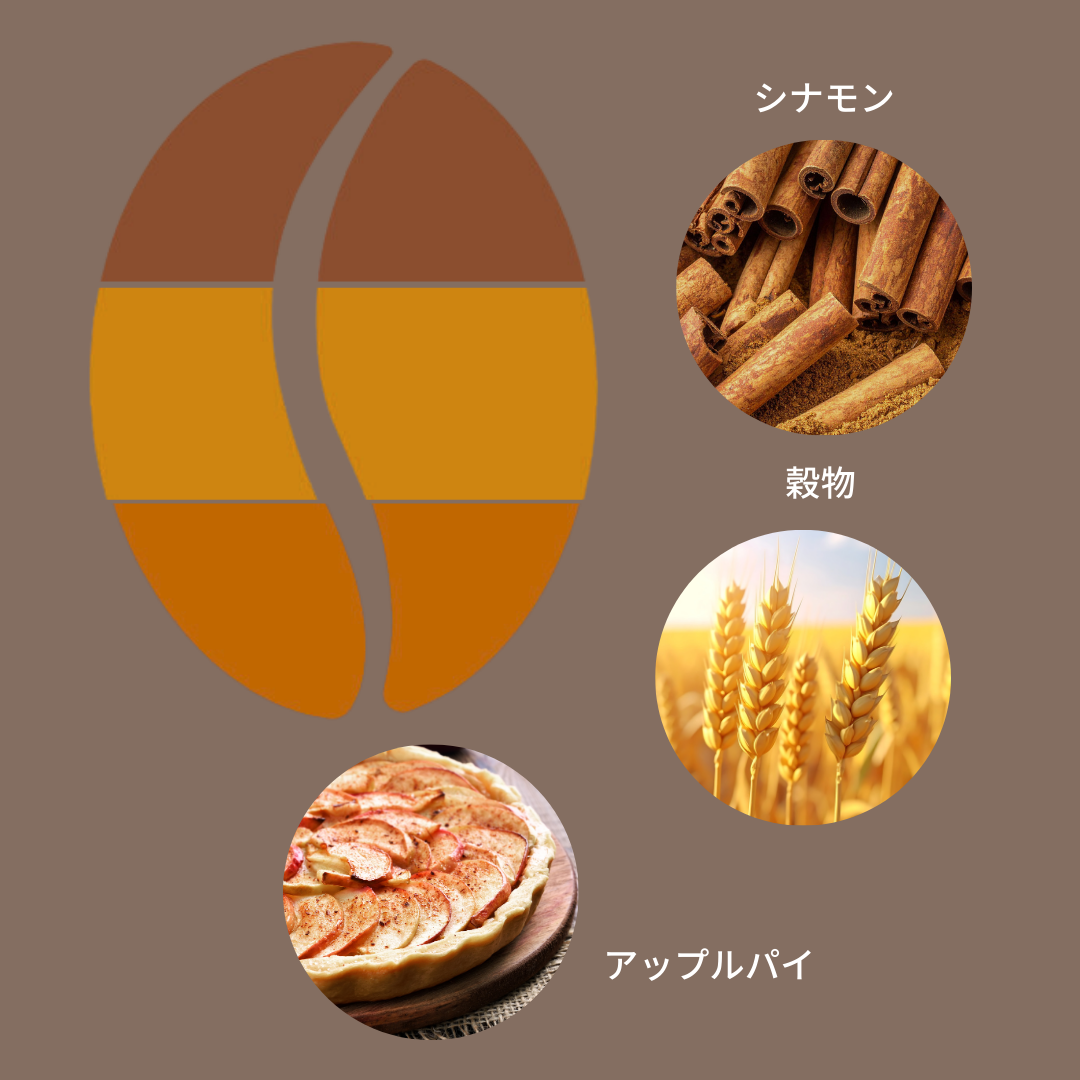 コロンビア シナモンインフューズド