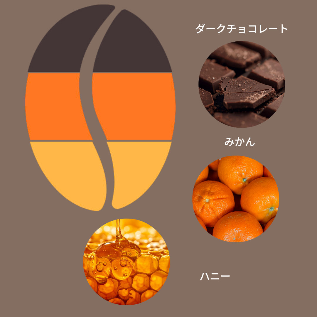 【デカフェ・JAS認証】コロンビア トリマ カフェグランデ農園 エルビノ ウォッシュド エクセルソ EP