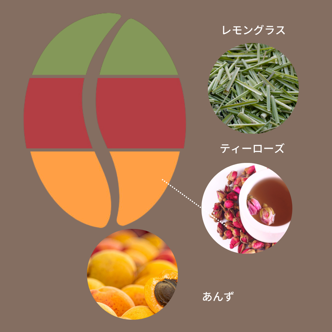 エチオピア 二グセ・ゲメダ モルケ ナチュラル G1