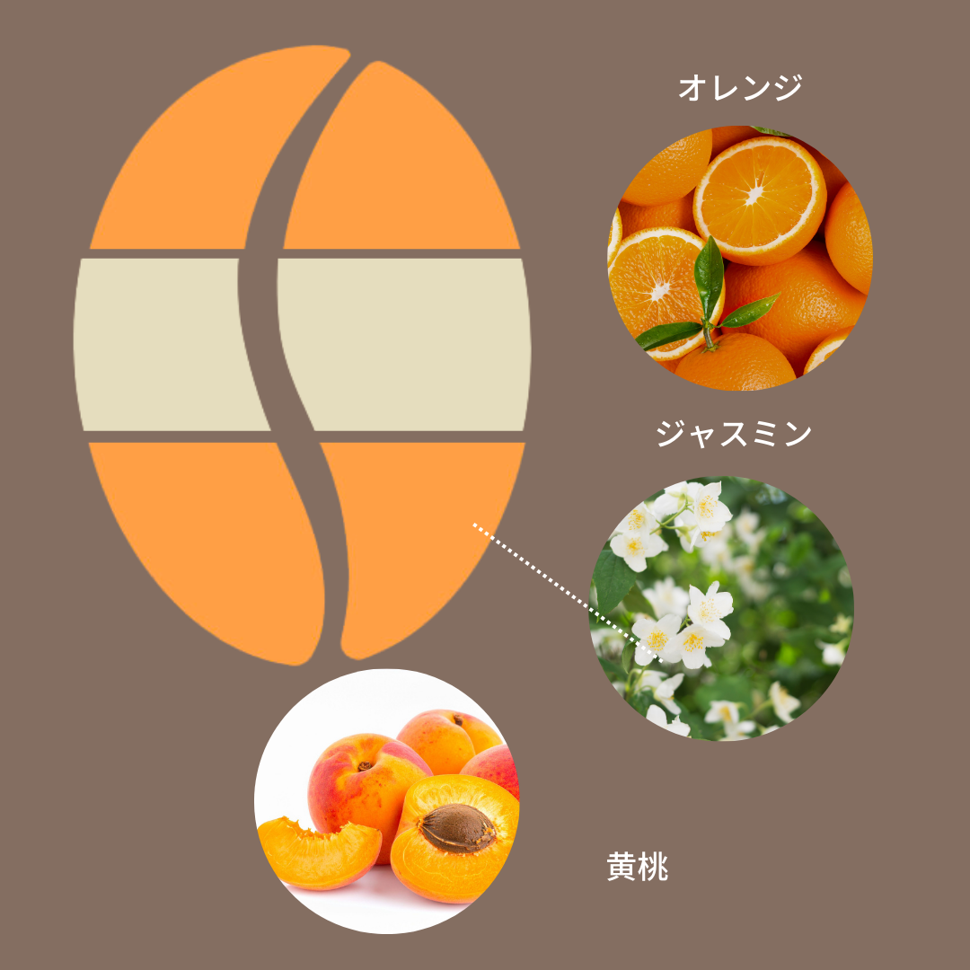 ケニア ギチツAA