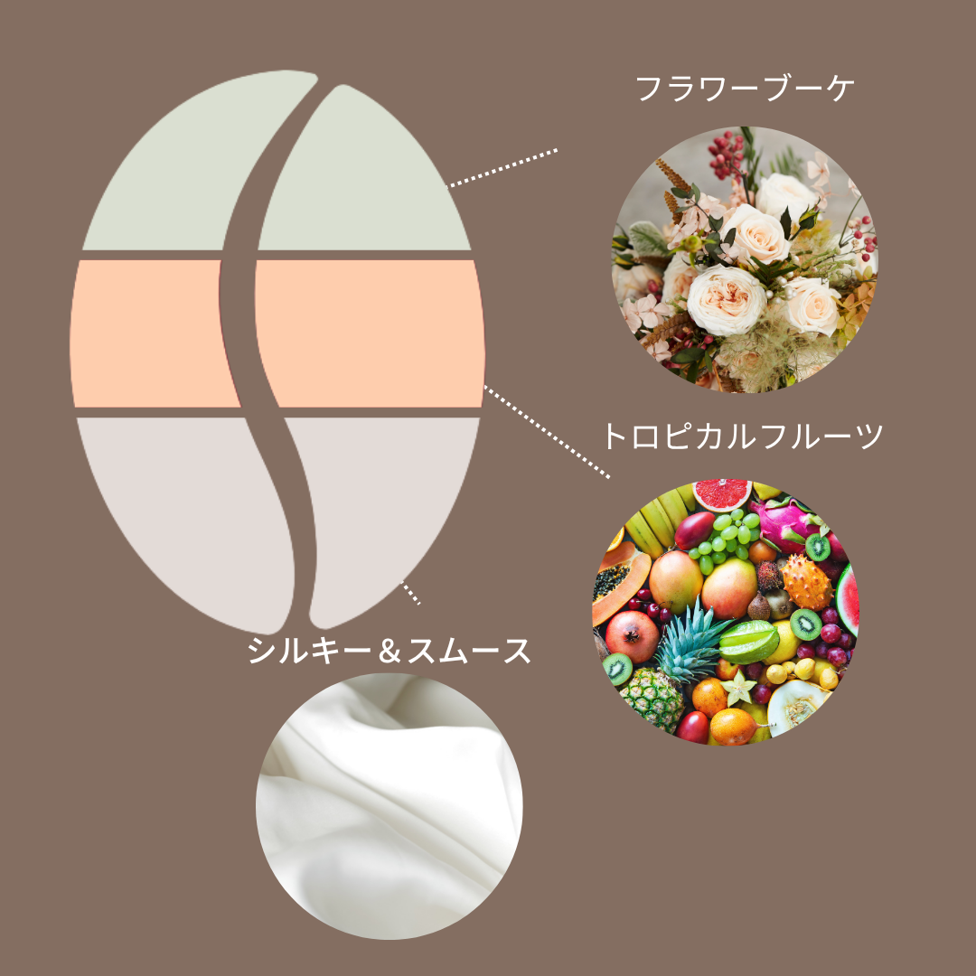 Panama Abu GN-3290 Geisha Natural Double Phased Submerged Anaerobic