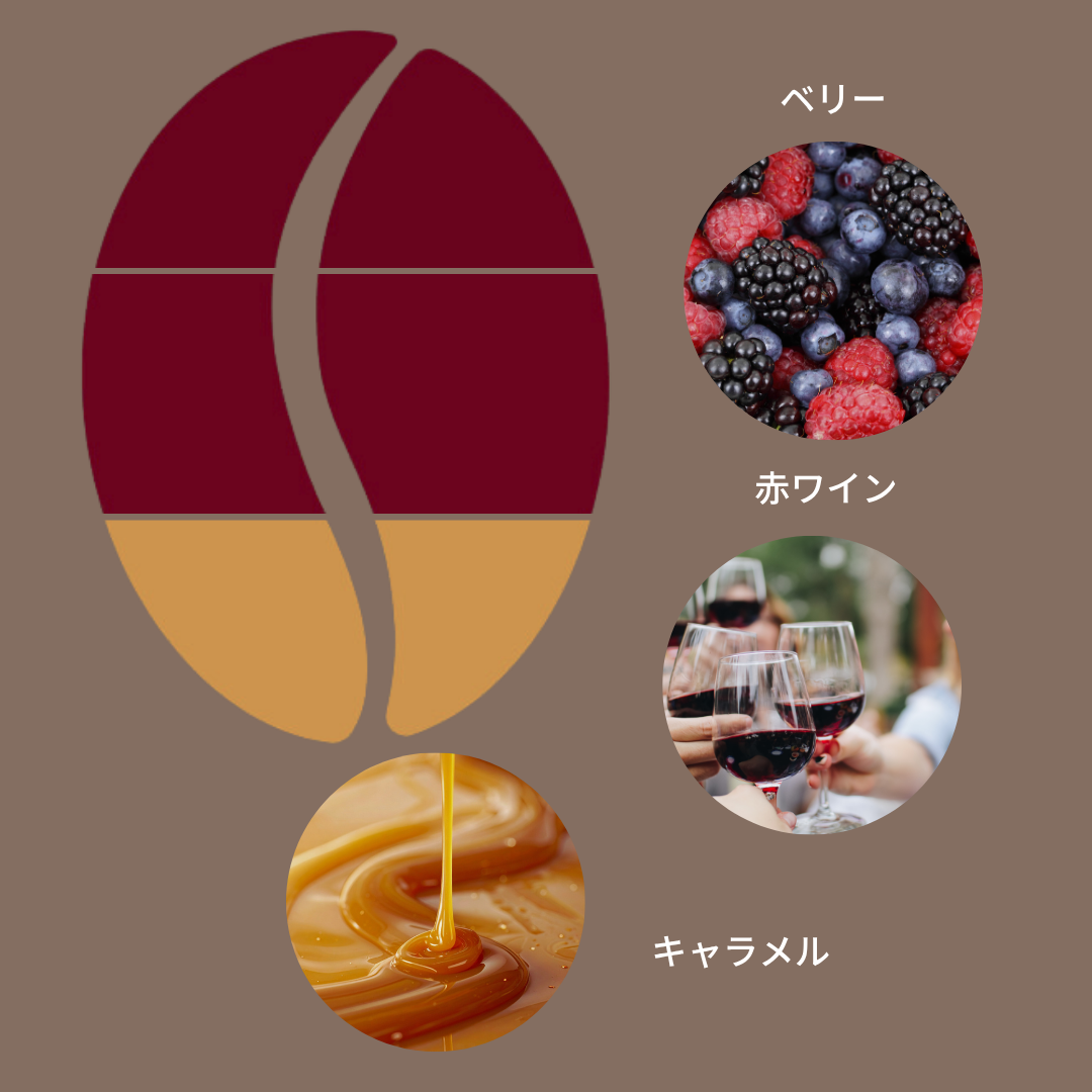 豆善 モカブレンド/ Mamezen Mocha Blend