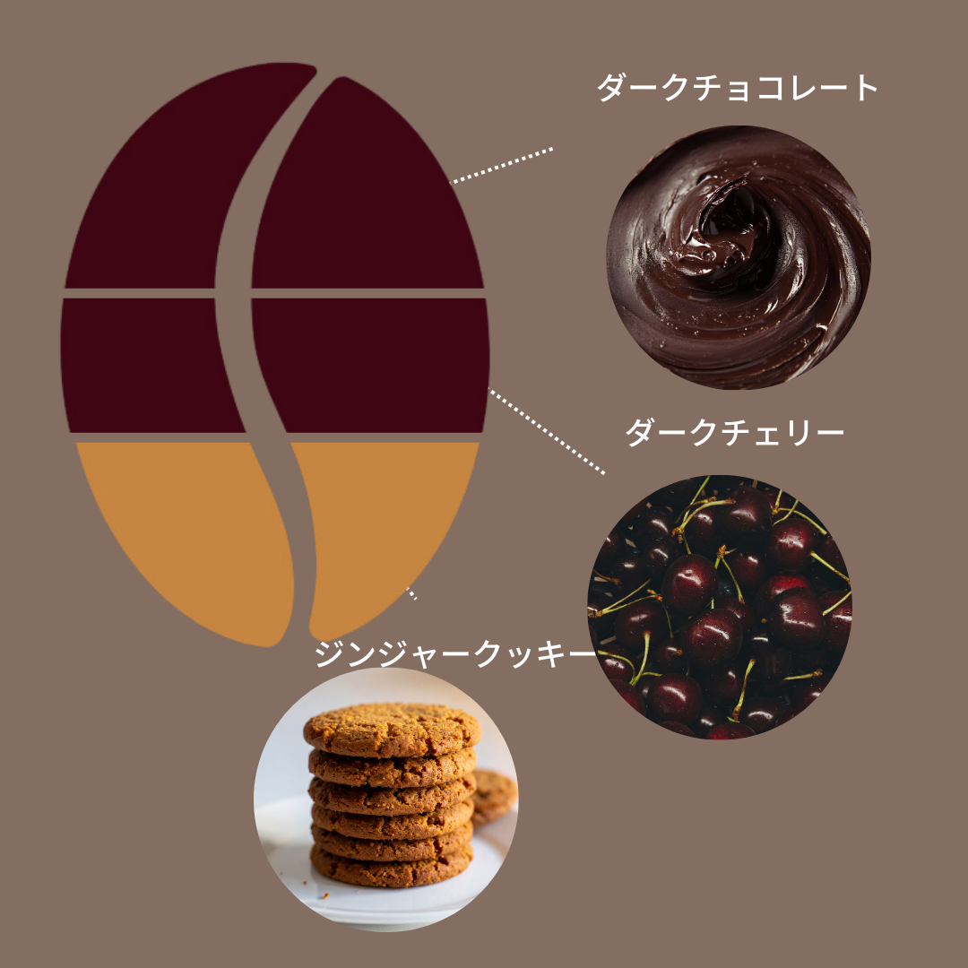 ニカラグア ロス・アルティプラノス パカマラ ウォッシュ