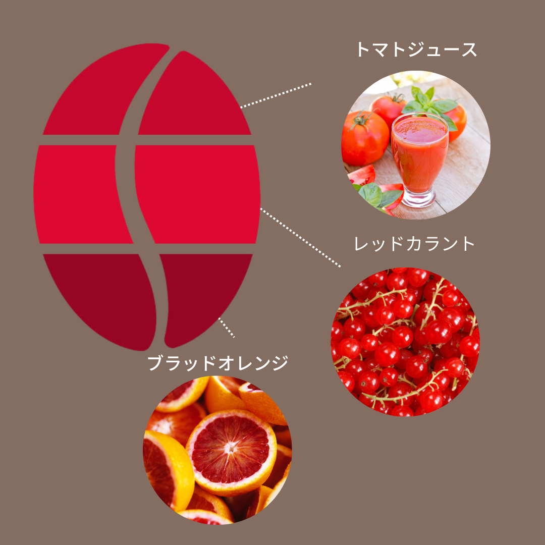 ケニア キイ ウォッシュ