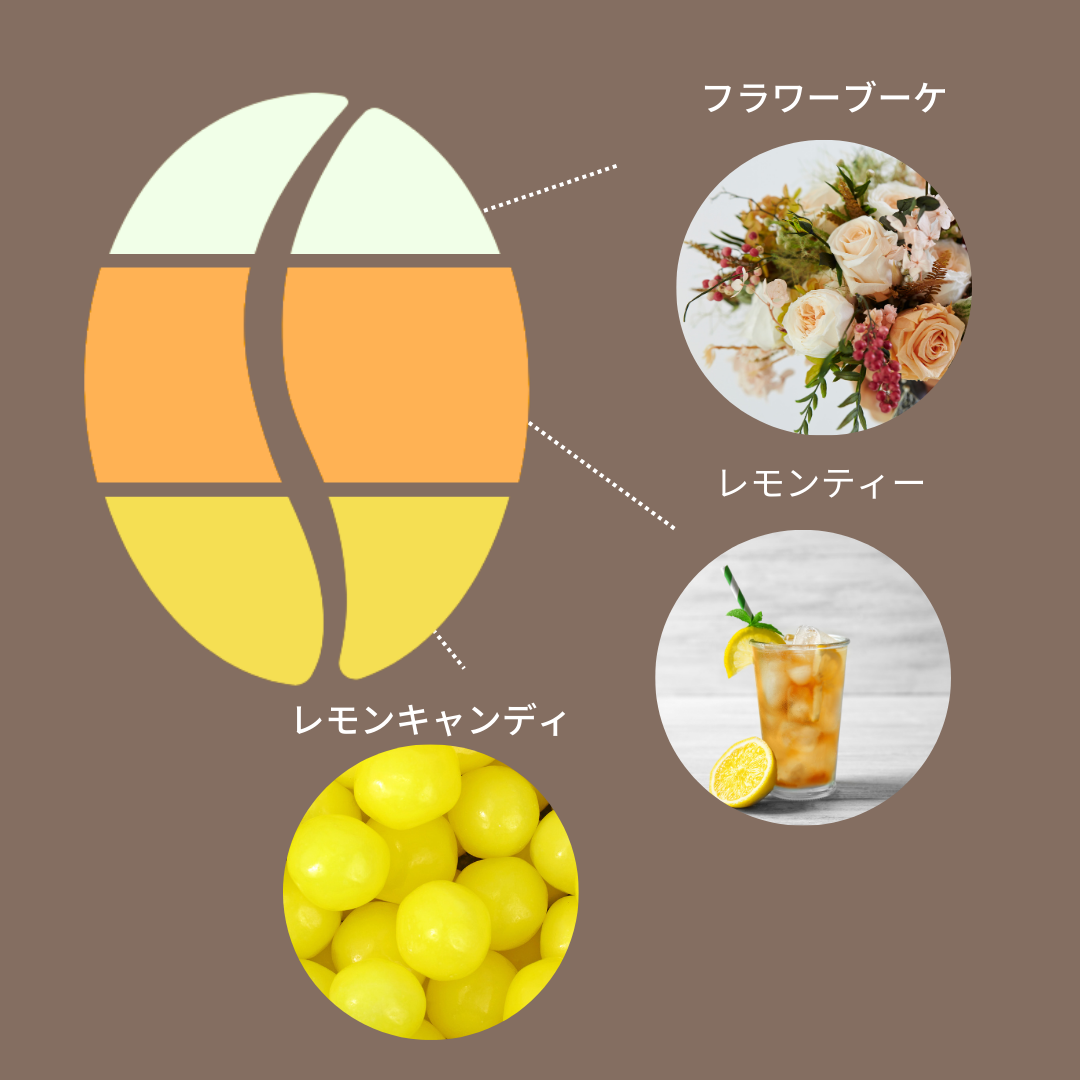 パナマ グラン・デル・バル ゲイシャ ウォッシュ
