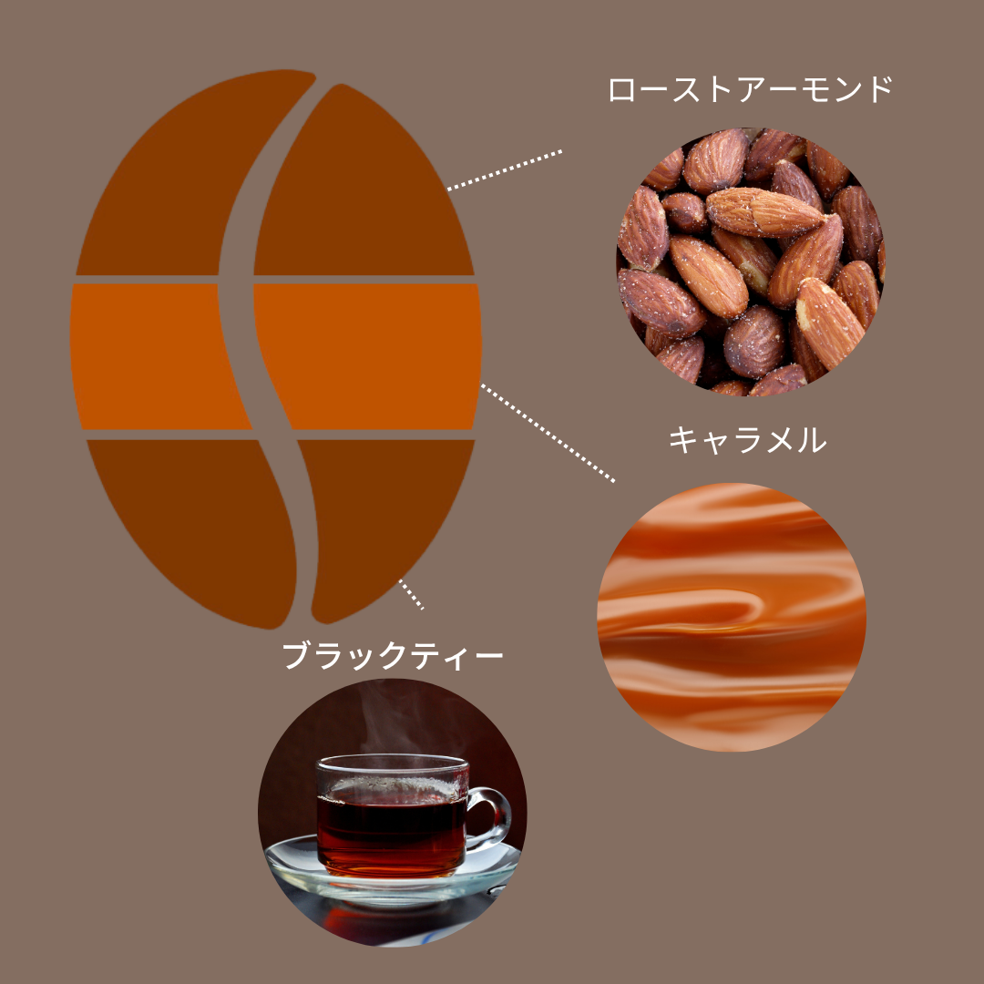 ニカラグア COE2025#11  エル・パラシオ パカマラ