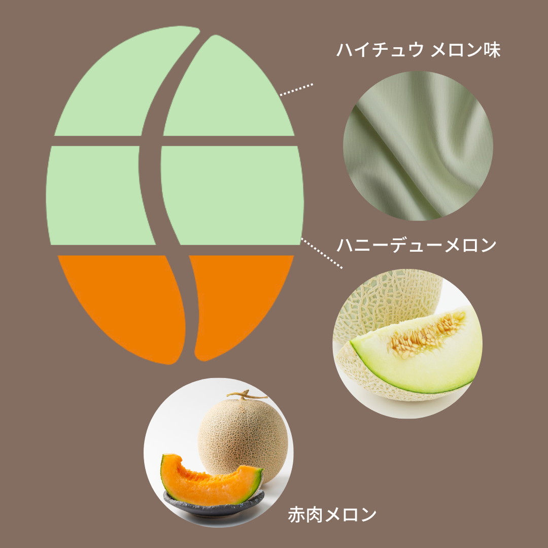 インドネシア ミルキーメロンインフューズドファーメンテーション