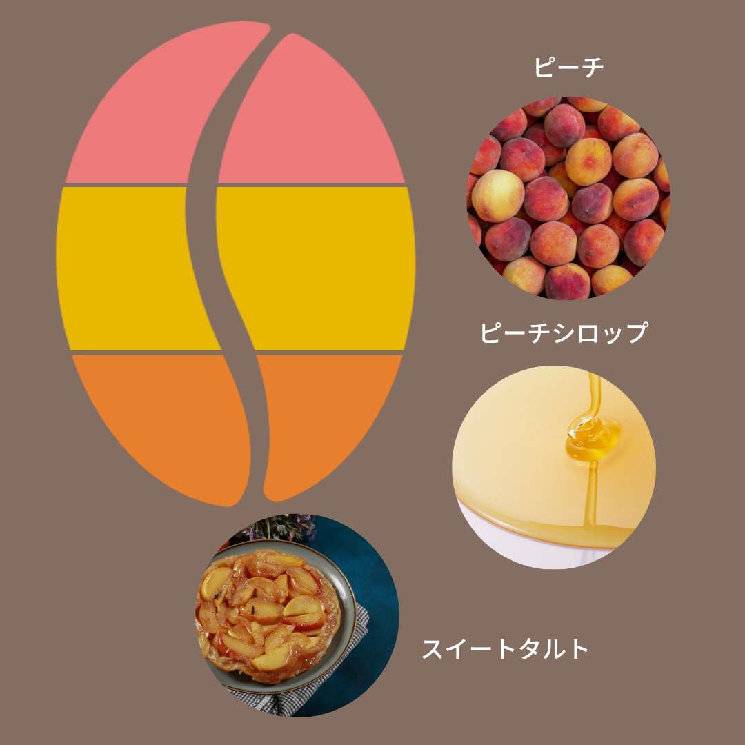 コロンビア キンディオ インフューズド ピーチ ハニー/ Colombia Quindio Infused Peach Honey