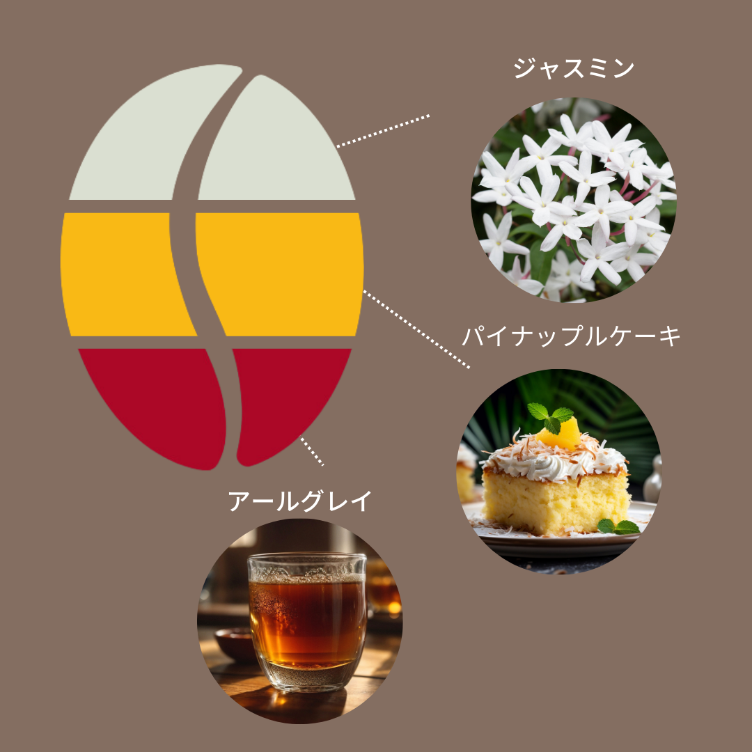 コロンビア ラ・シベリア Best Of Tolima # 8