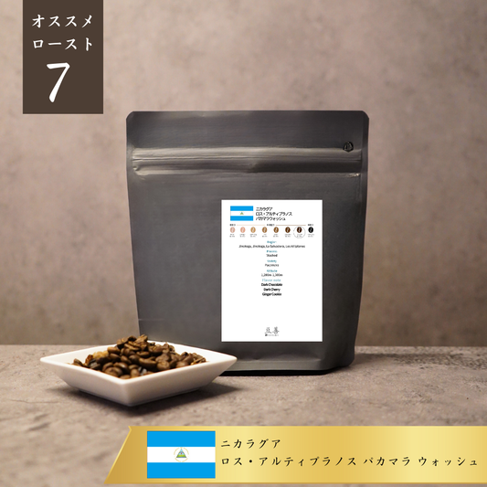 ニカラグア ロス・アルティプラノス パカマラ ウォッシュ